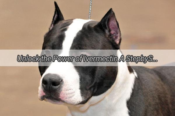 Unlock the Power of Ivermectin A StepbyStep Guide to Safely Administering This LifeSaving Doggy Med